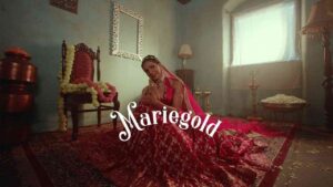 Mariegold Curry Lyrics